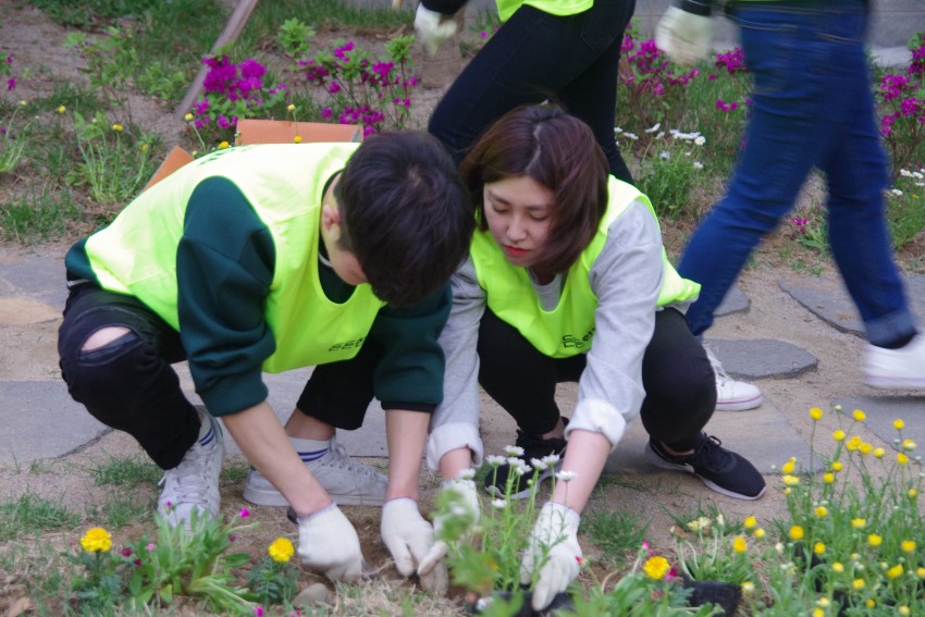 80a45e3a9f63914e0a7f8a40d2ed3e44_1495079