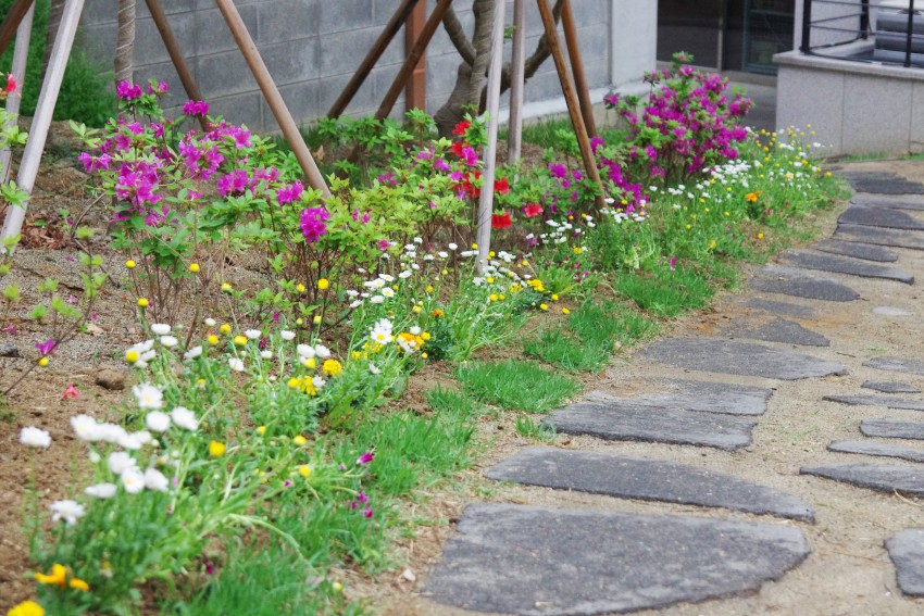 80a45e3a9f63914e0a7f8a40d2ed3e44_1495079