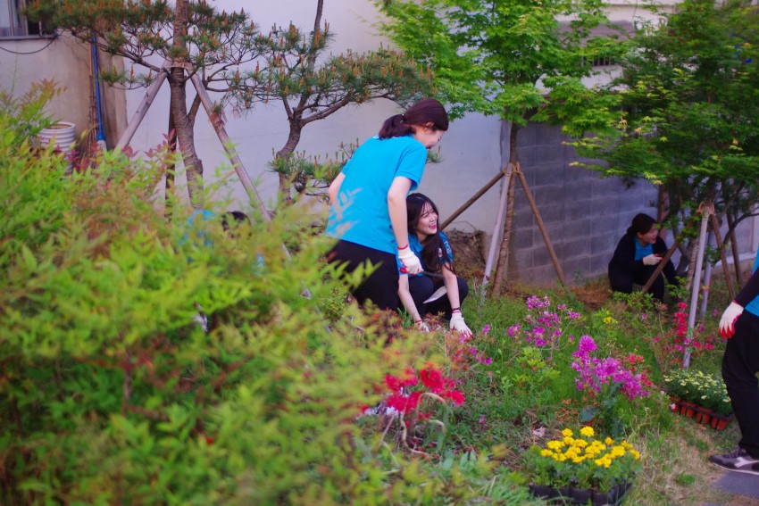 53ff0a50efb7a402f3248d6e941d49a3_1525674