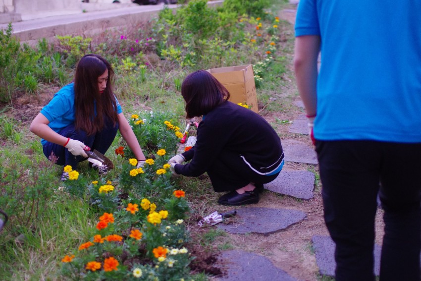 53ff0a50efb7a402f3248d6e941d49a3_1525674