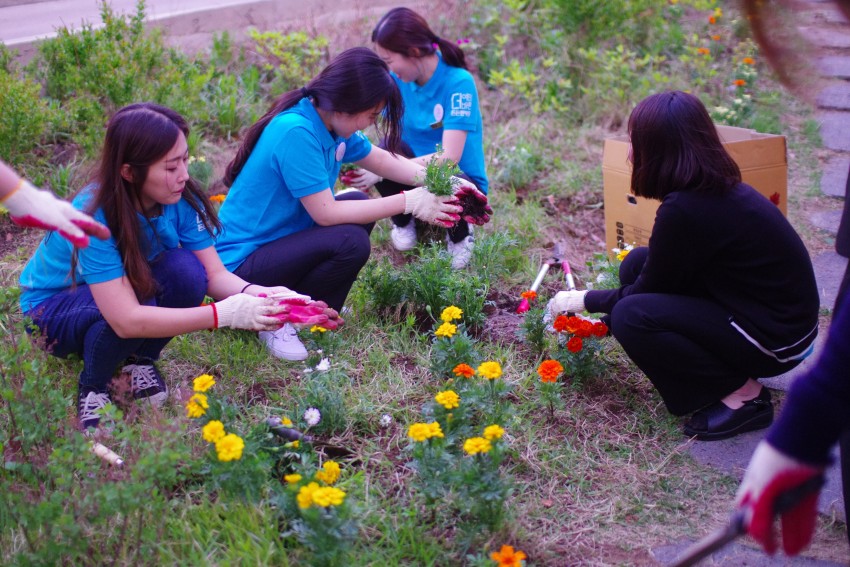 53ff0a50efb7a402f3248d6e941d49a3_1525674