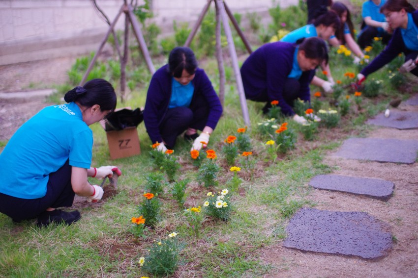 53ff0a50efb7a402f3248d6e941d49a3_1525674