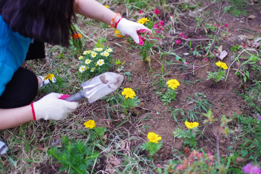 53ff0a50efb7a402f3248d6e941d49a3_1525674