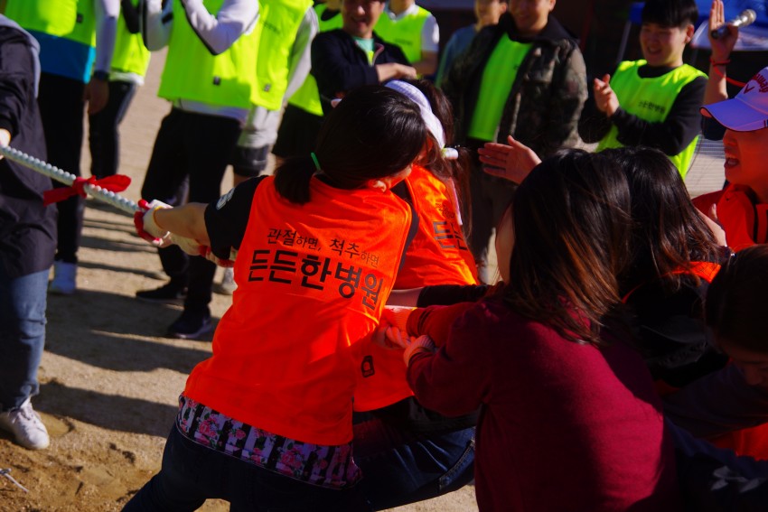 8a6cbc621549f792299730a8fd5f9c79_1527843