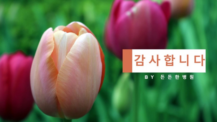 909c84d27dd9d8d40cc30aa2a451dd19_1553563