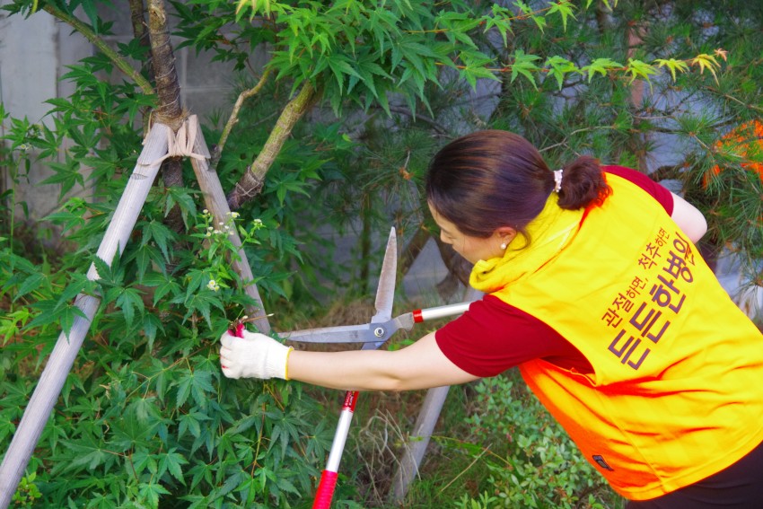 dcec3964cb590fdbda694945a78384d9_1559179