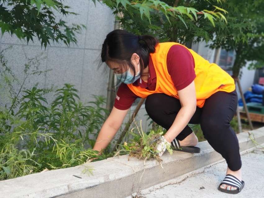 dcec3964cb590fdbda694945a78384d9_1559179