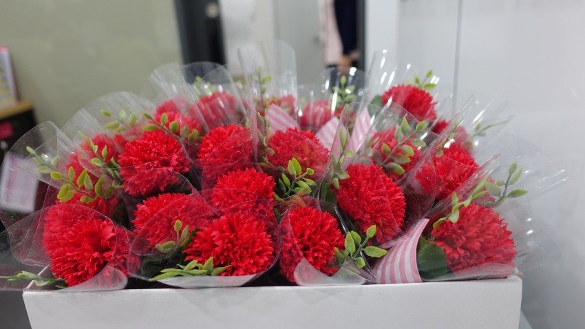 6ec209f7cfe9c23bfd8440603bbf41f2_1494212