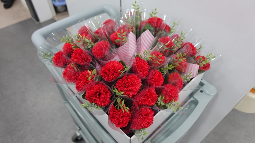 6ec209f7cfe9c23bfd8440603bbf41f2_1494212