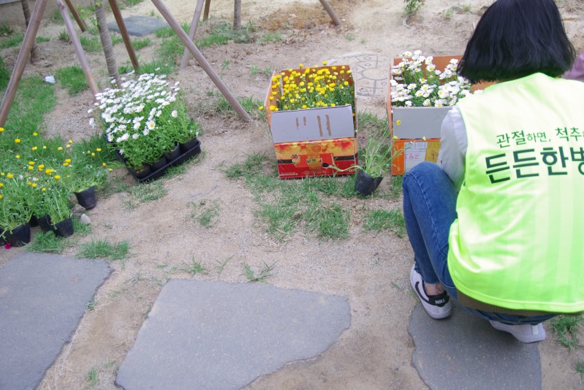 80a45e3a9f63914e0a7f8a40d2ed3e44_1495079