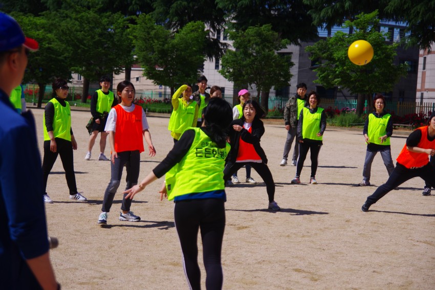 8a6cbc621549f792299730a8fd5f9c79_1527843