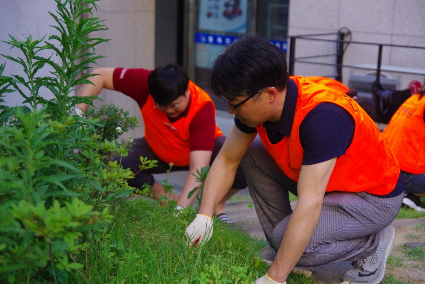 dcec3964cb590fdbda694945a78384d9_1559179