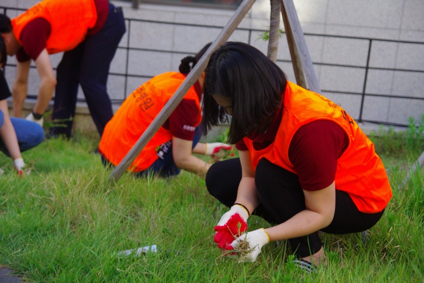 dcec3964cb590fdbda694945a78384d9_1559179