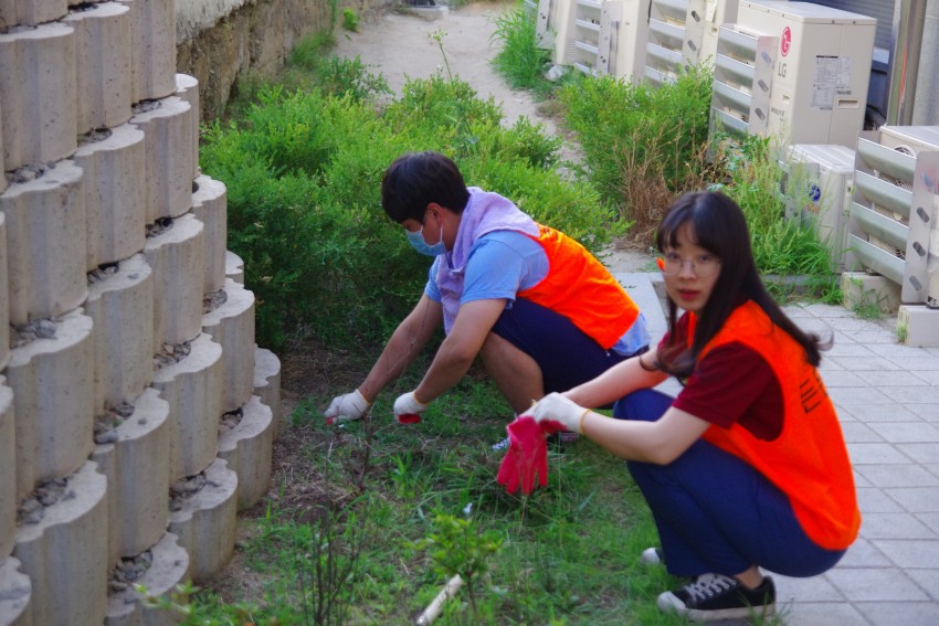 dcec3964cb590fdbda694945a78384d9_1559179