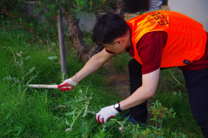 dcec3964cb590fdbda694945a78384d9_1559179