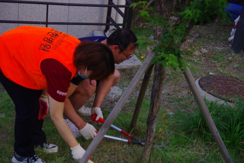 dcec3964cb590fdbda694945a78384d9_1559179