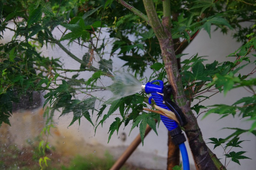 dcec3964cb590fdbda694945a78384d9_1559179