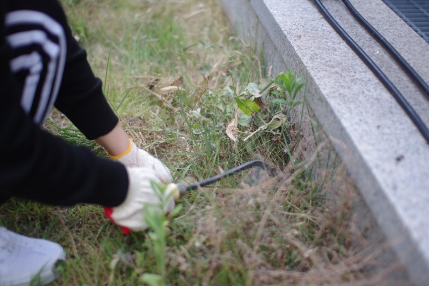 9941489a0034be4771deeb1f5a1ccee0_1591769